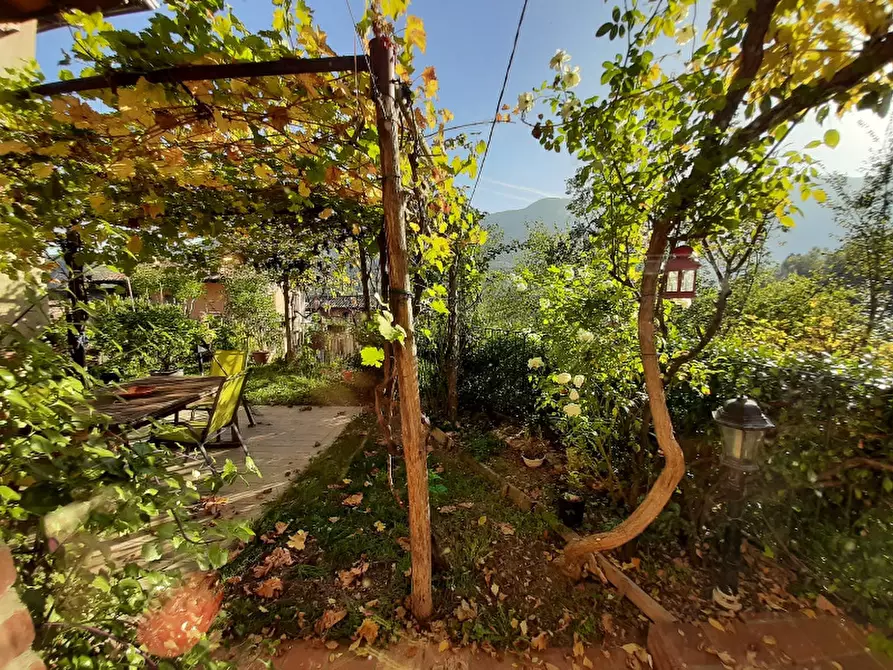 Immagine 17 di Villa in vendita  in Via Oriolo a Vallio Terme