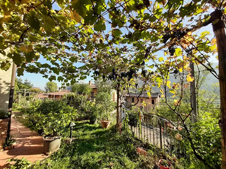Immagine 15 di Villa in vendita  in Via Oriolo a Vallio Terme