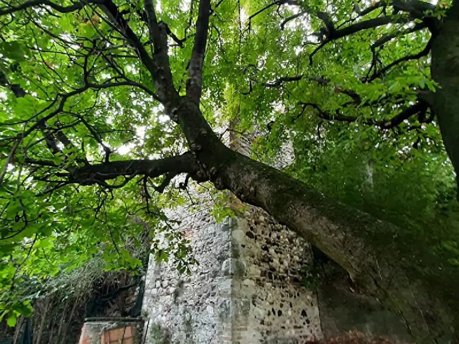 Immagine 18 di Villa in vendita  in Via Cavour a San Felice Del Benaco
