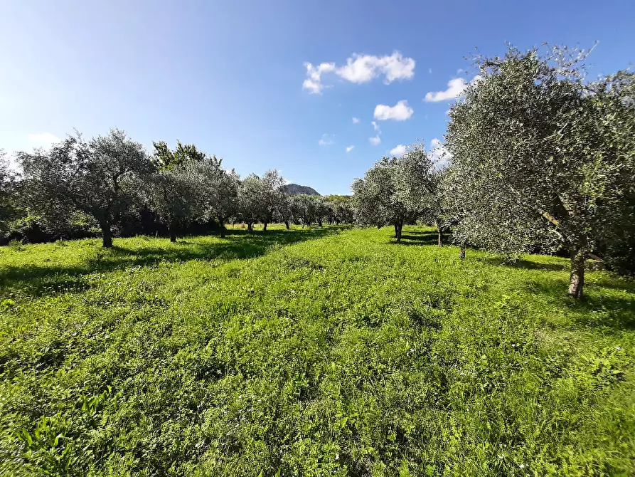 Immagine 1 di Terreno agricolo in vendita  in Via Giacomo Matteotti a Roe' Volciano