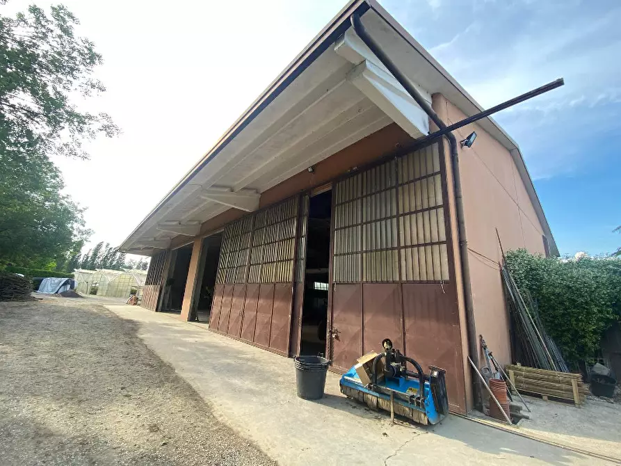 Immagine 1 di Magazzino in vendita  in Via Trevisago a Manerba Del Garda