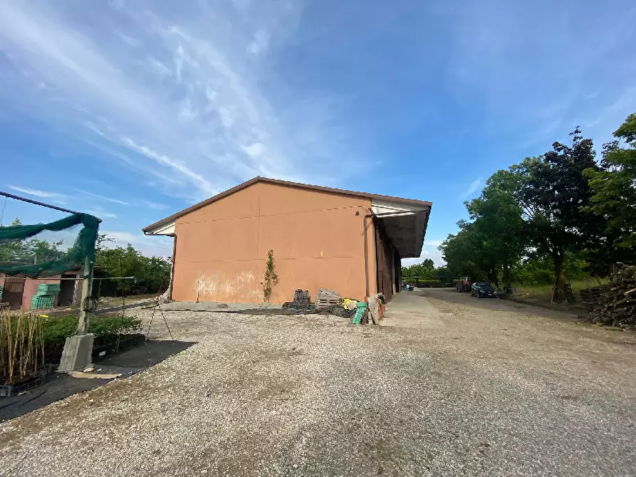 Immagine 7 di Magazzino in vendita  in Via Trevisago a Manerba Del Garda