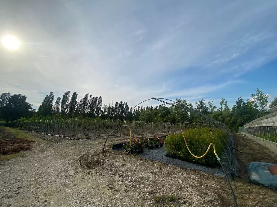 Immagine 9 di Magazzino in vendita  in Via Trevisago a Manerba Del Garda