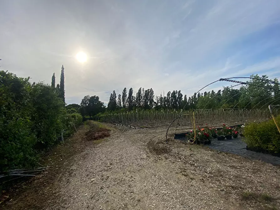 Immagine 10 di Magazzino in vendita  in Via Trevisago a Manerba Del Garda