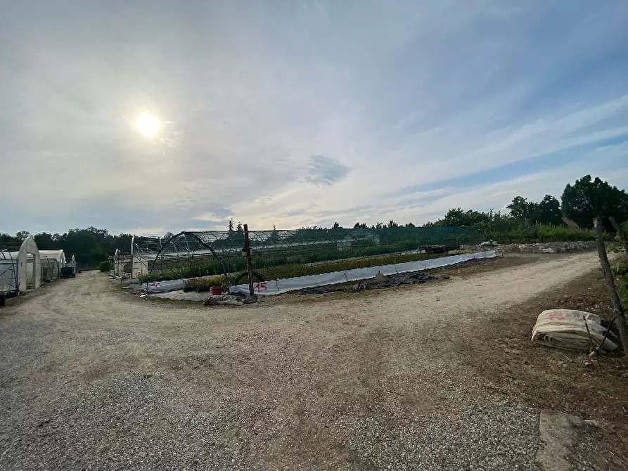 Immagine 18 di Magazzino in vendita  in Via Trevisago a Manerba Del Garda