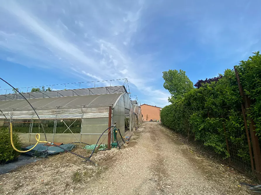 Immagine 11 di Magazzino in vendita  in Via Trevisago a Manerba Del Garda