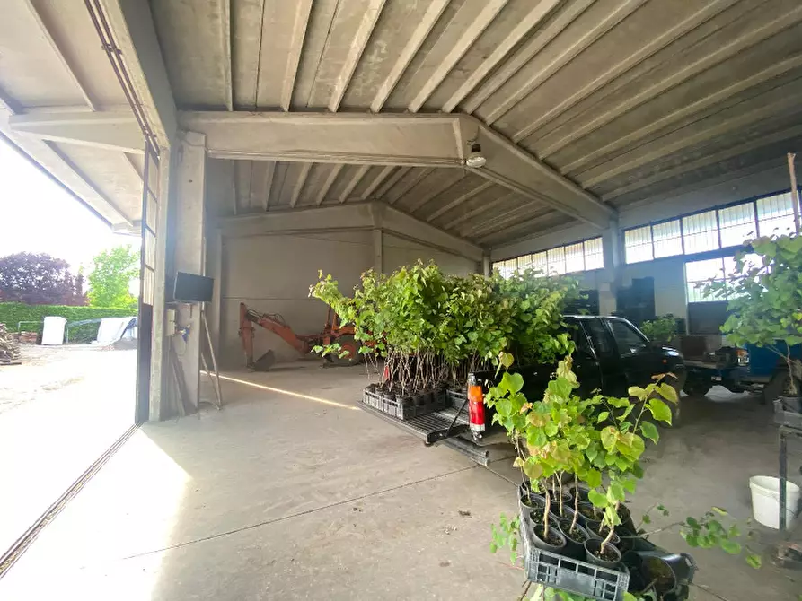 Immagine 3 di Magazzino in vendita  in Via Trevisago a Manerba Del Garda