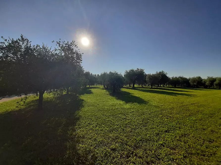 Immagine 4 di Terreno agricolo in vendita  in Via Roseti a San Felice Del Benaco