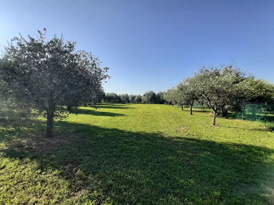 Immagine 5 di Terreno agricolo in vendita  in Via Roseti a San Felice Del Benaco