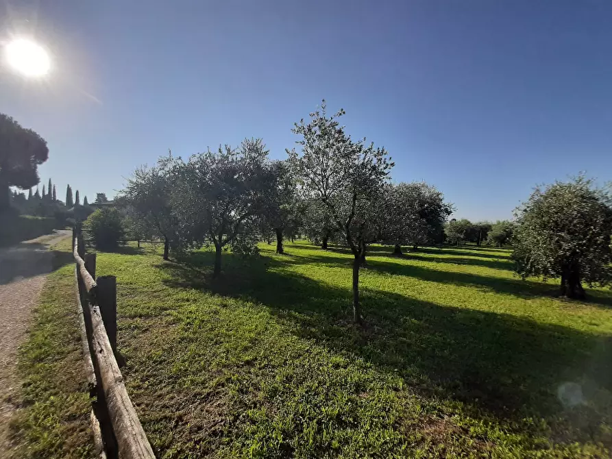 Immagine 2 di Terreno agricolo in vendita  in Via Roseti a San Felice Del Benaco