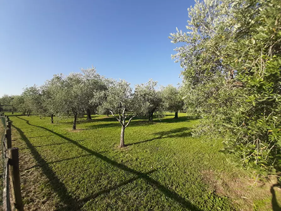 Immagine 9 di Terreno agricolo in vendita  in Via Roseti a San Felice Del Benaco