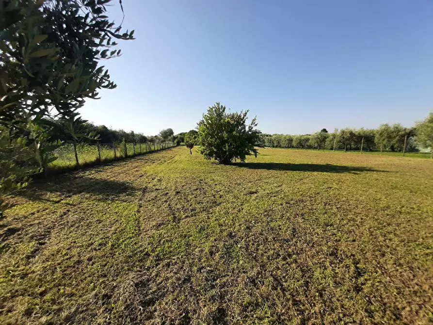 Immagine 13 di Terreno agricolo in vendita  in Via Roseti a San Felice Del Benaco