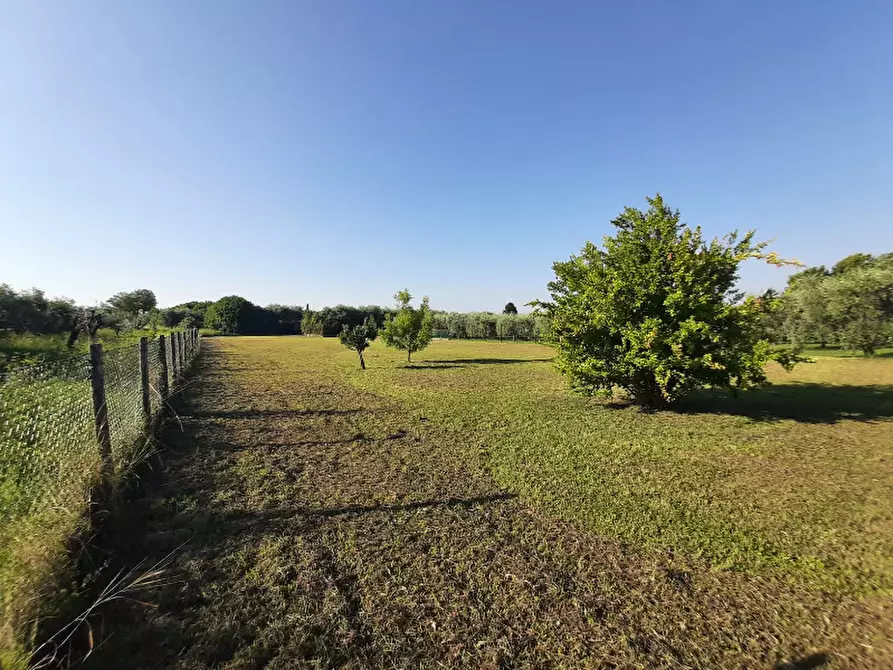 Immagine 14 di Terreno agricolo in vendita  in Via Roseti a San Felice Del Benaco