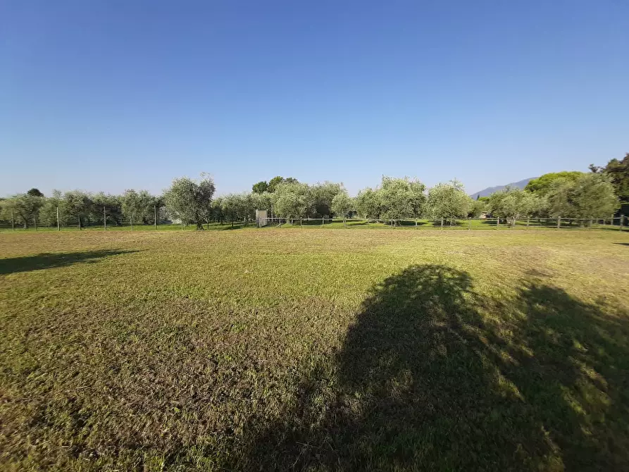 Immagine 11 di Terreno agricolo in vendita  in Via Roseti a San Felice Del Benaco