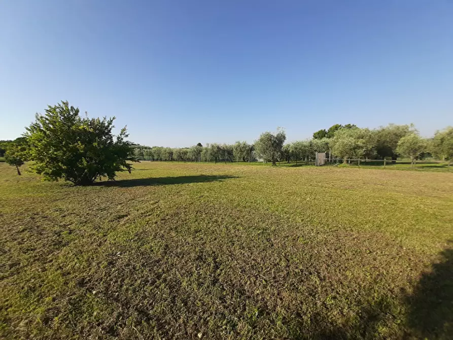 Immagine 12 di Terreno agricolo in vendita  in Via Roseti a San Felice Del Benaco