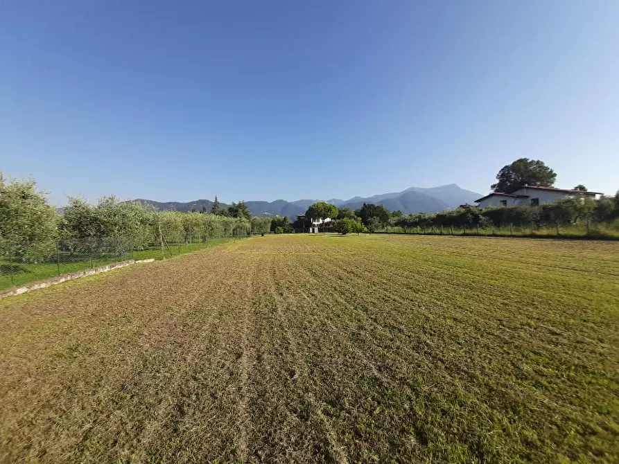Immagine 6 di Terreno agricolo in vendita  in Via Roseti a San Felice Del Benaco