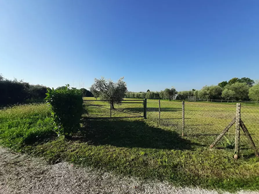 Immagine 19 di Terreno agricolo in vendita  in Via Roseti a San Felice Del Benaco