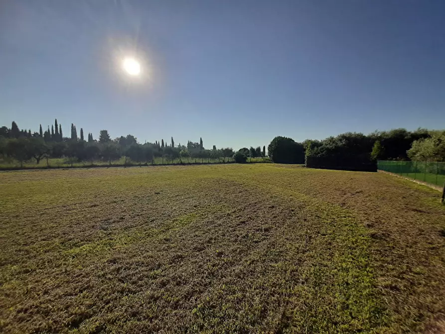 Immagine 3 di Terreno agricolo in vendita  in Via Roseti a San Felice Del Benaco