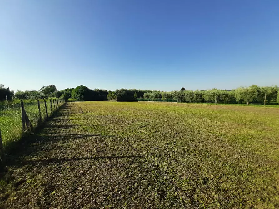 Immagine 9 di Terreno agricolo in vendita  in Via Roseti a San Felice Del Benaco
