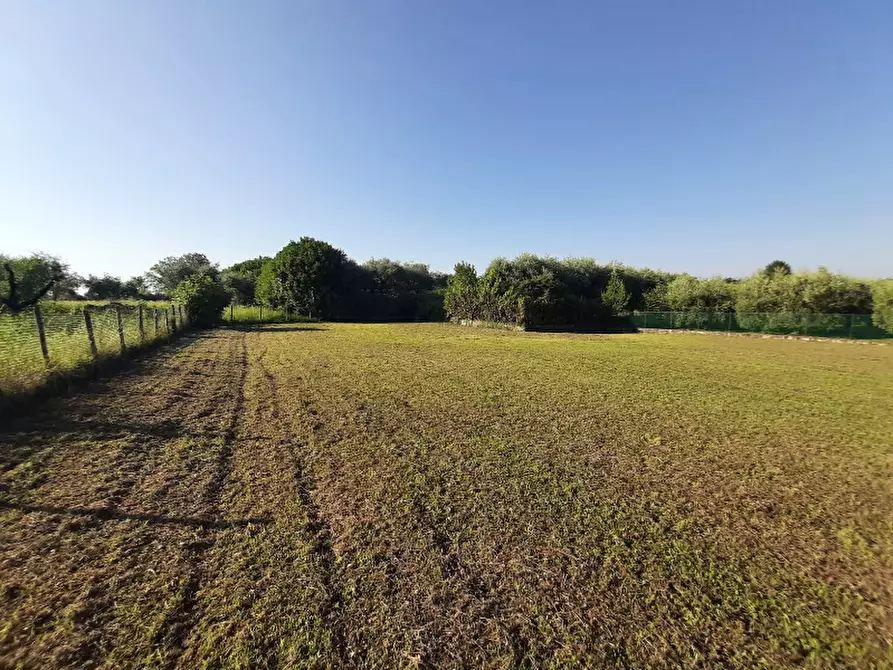 Immagine 8 di Terreno agricolo in vendita  in Via Roseti a San Felice Del Benaco