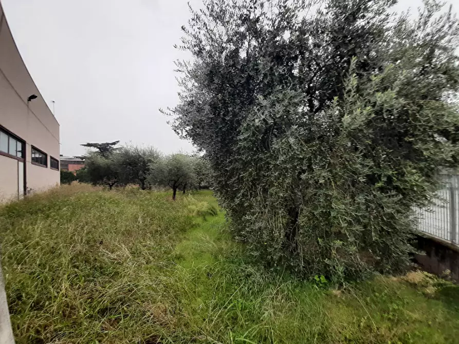 Immagine 20 di Capannone industriale in vendita  in Via Campo Mas cior a Puegnago Sul Garda