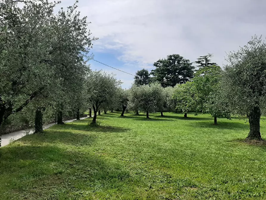 Immagine 14 di Terreno agricolo in vendita  in Via Benaco a San Felice Del Benaco