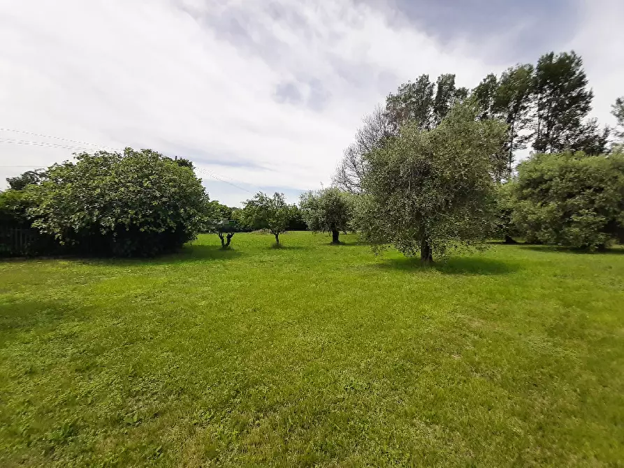 Immagine 2 di Terreno agricolo in vendita  in Via Benaco a San Felice Del Benaco