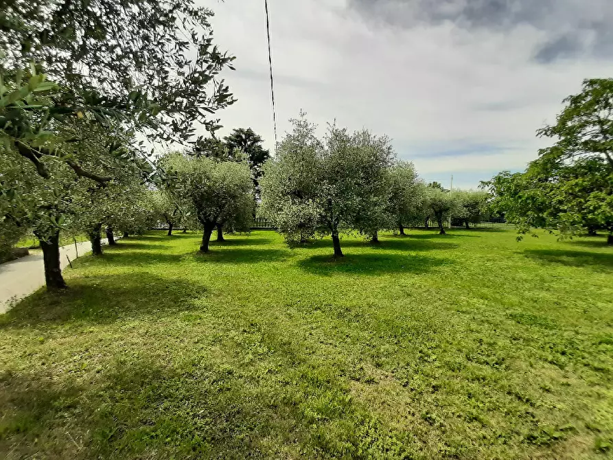 Immagine 9 di Terreno agricolo in vendita  in Via Benaco a San Felice Del Benaco