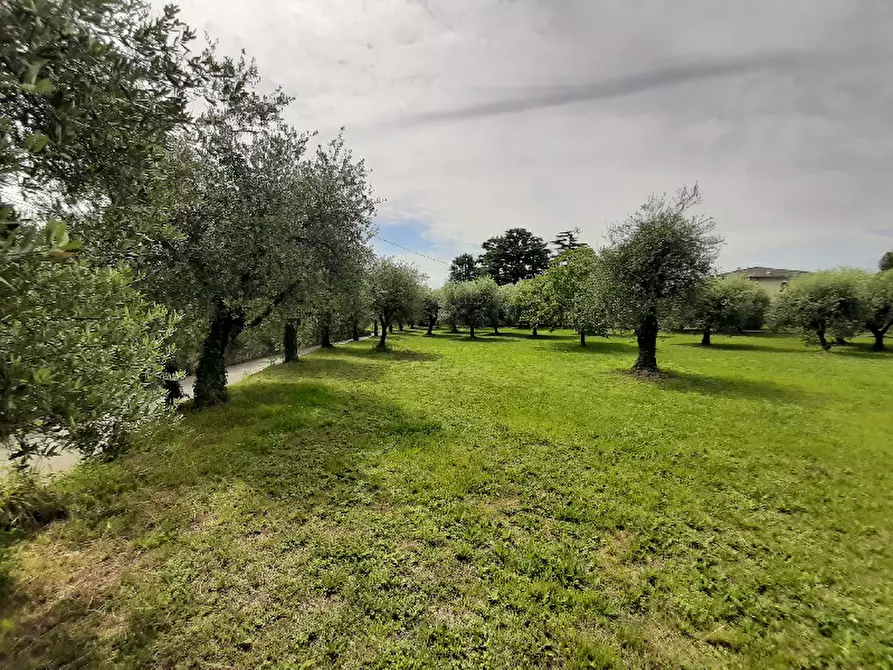 Immagine 12 di Terreno agricolo in vendita  in Via Benaco a San Felice Del Benaco