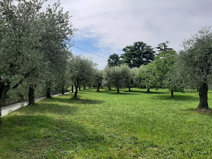 Immagine 11 di Terreno agricolo in vendita  in Via Benaco a San Felice Del Benaco