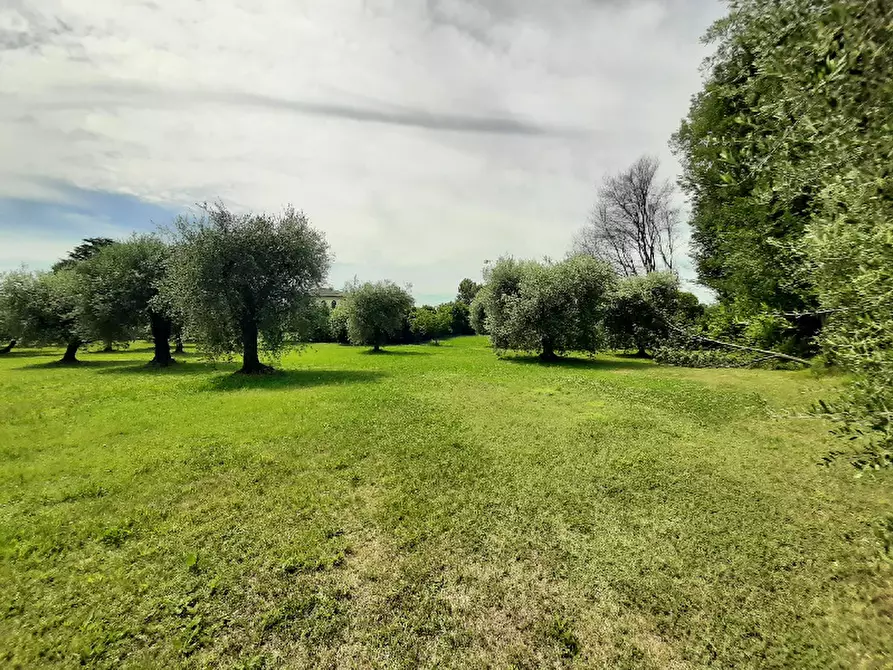 Immagine 20 di Terreno agricolo in vendita  in Via Benaco a San Felice Del Benaco