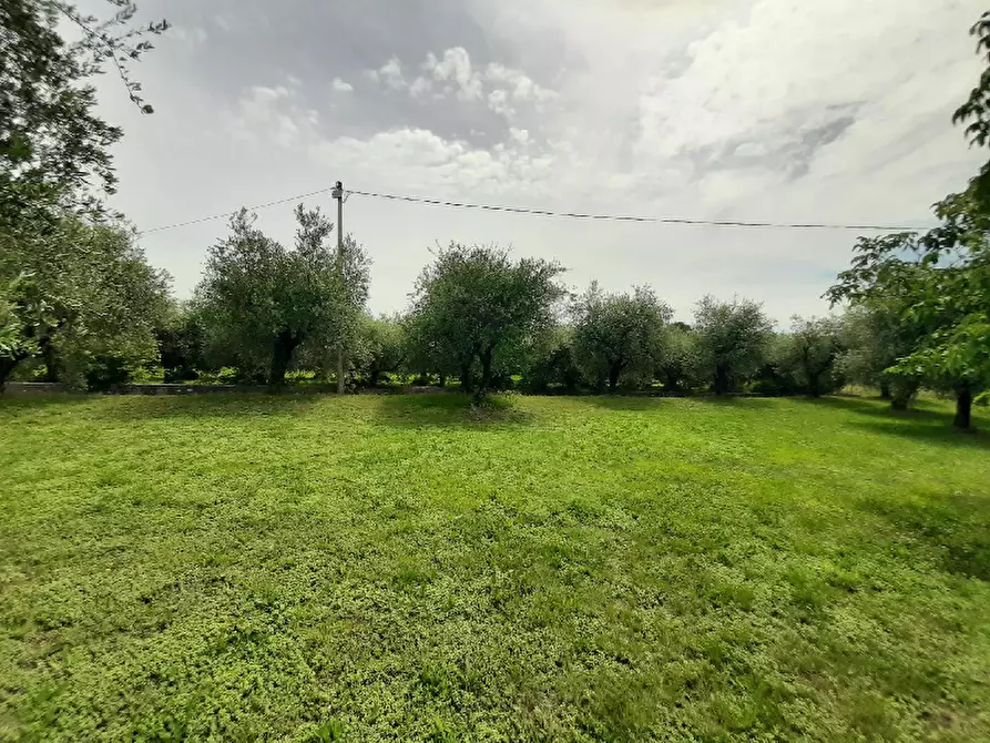 Immagine 5 di Terreno agricolo in vendita  in Via Benaco a San Felice Del Benaco