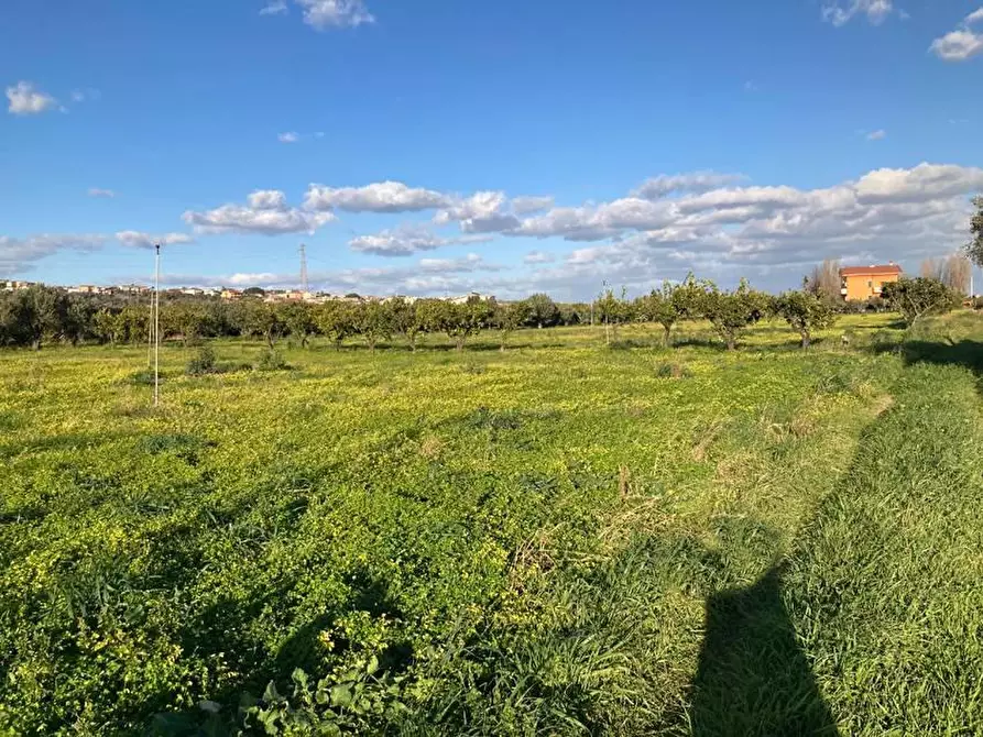 Immagine 1 di Terreno agricolo in vendita  in VIALE chiaro a Sellia Marina