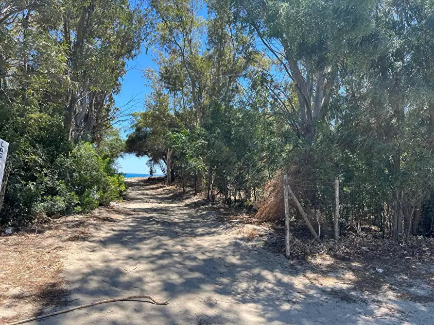 Immagine 2 di Terreno industriale in vendita  a Simeri Crichi