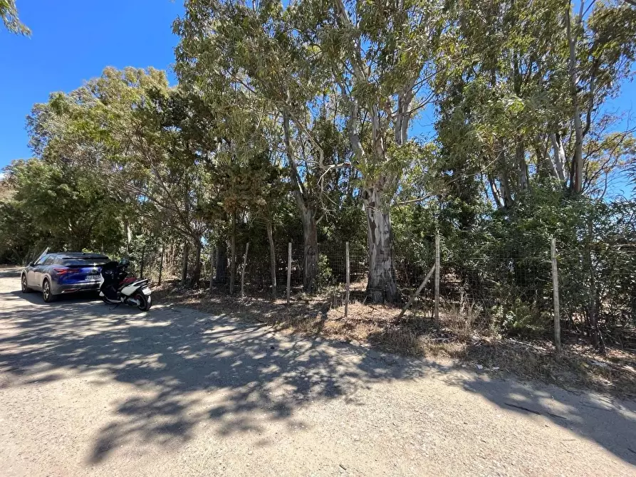 Immagine 4 di Terreno industriale in vendita  a Simeri Crichi