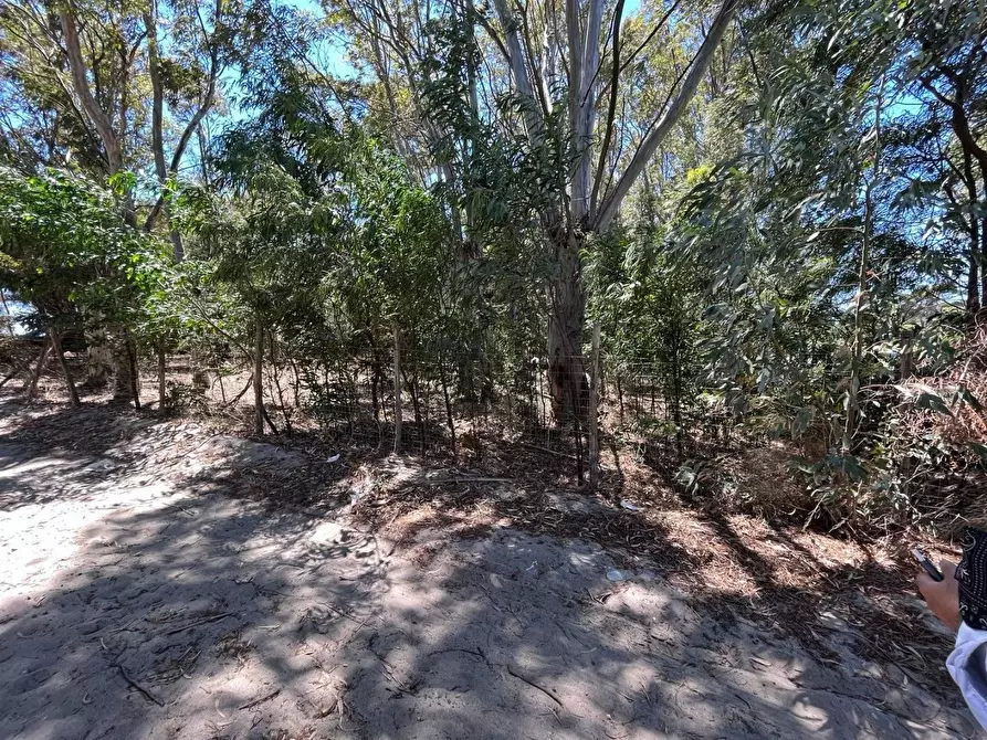 Immagine 5 di Terreno industriale in vendita  a Simeri Crichi