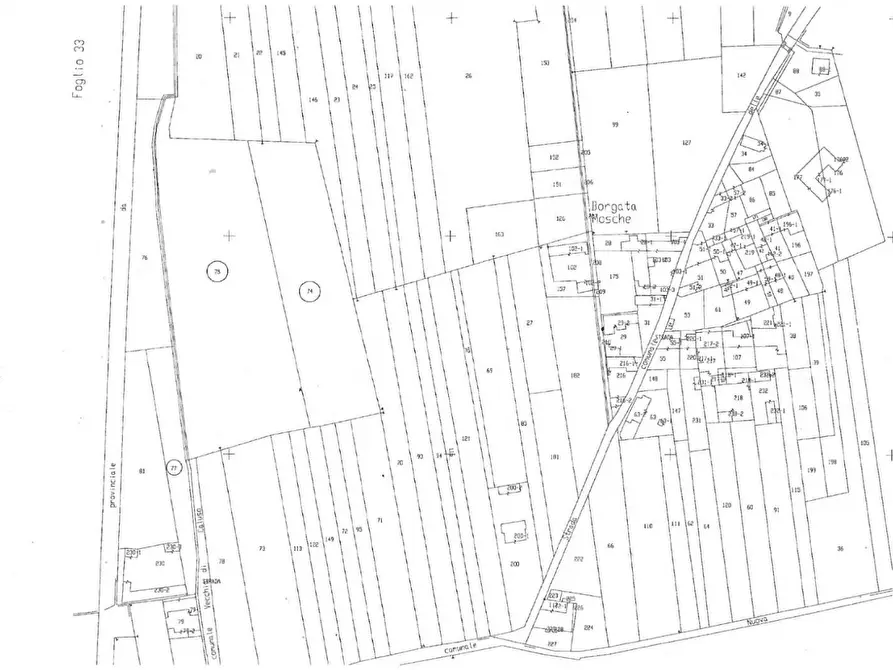 Immagine 5 di Terreno agricolo in vendita  in VIA chiavarini 30 a Chivasso