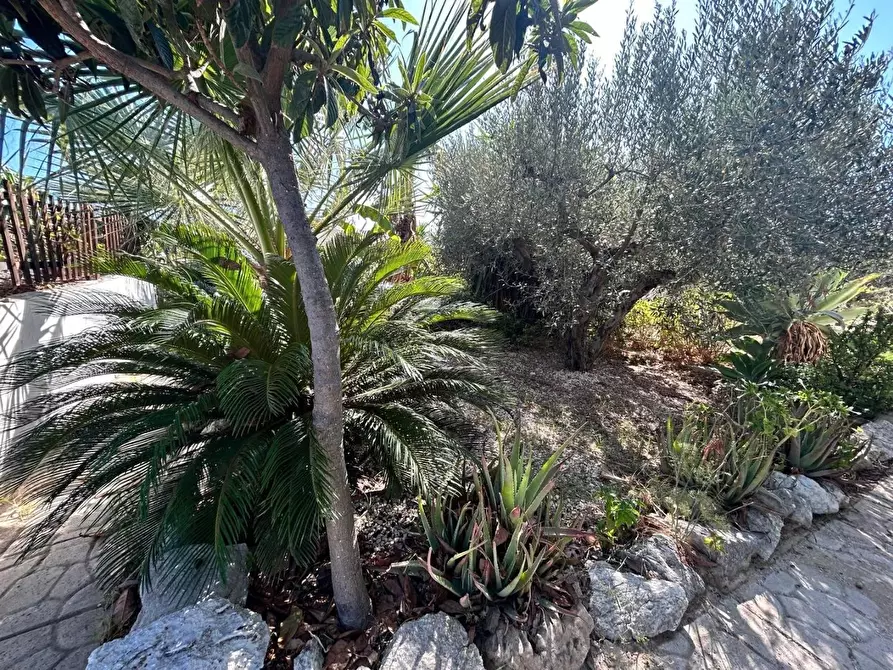 Immagine 21 di Villa in vendita  in CONTRADA torre salsa a Siculiana