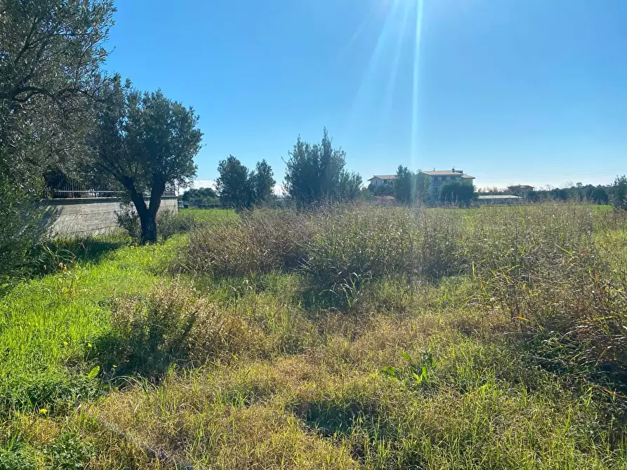 Immagine 1 di Terreno residenziale in vendita  in VIALE chiaro a Sellia Marina