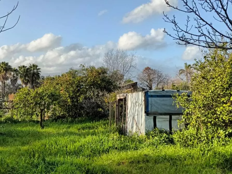 Immagine 4 di Terreno agricolo in vendita  in VIA spirito santo a Aci Sant'antonio