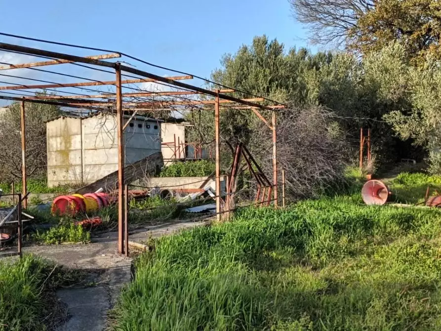 Immagine 5 di Terreno agricolo in vendita  in VIA spirito santo a Aci Sant'antonio