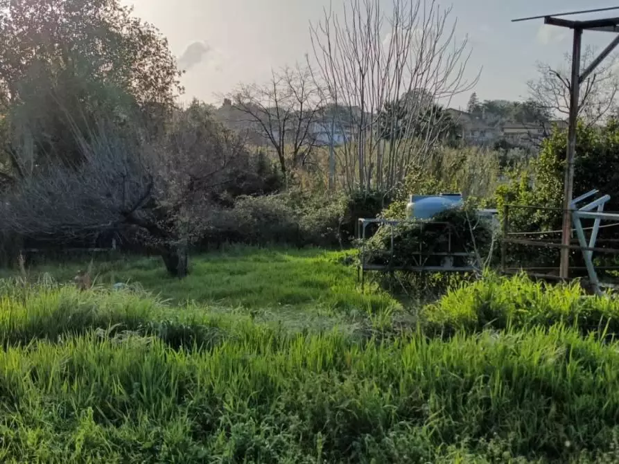 Immagine 2 di Terreno agricolo in vendita  in VIA spirito santo a Aci Sant'antonio