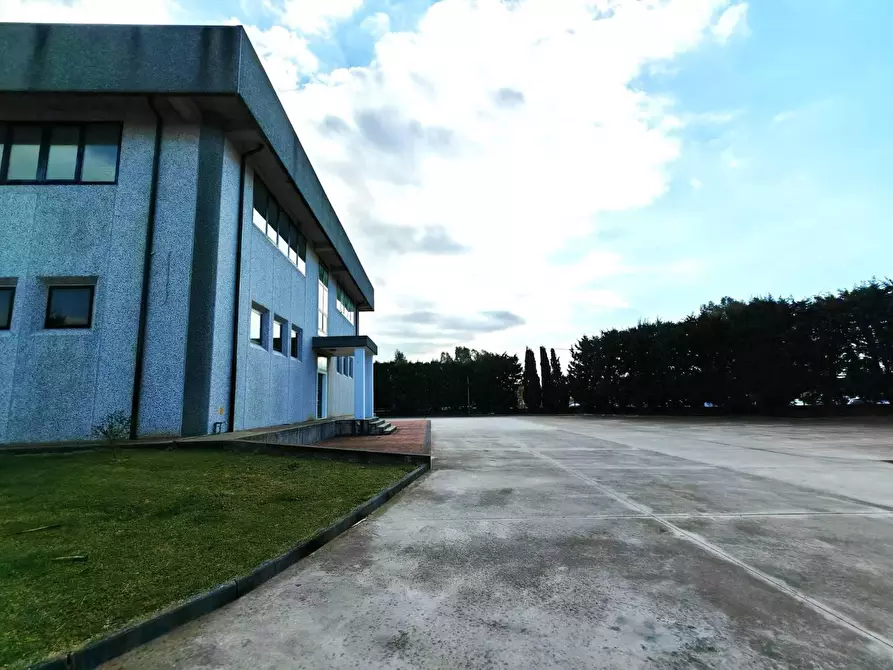 Immagine 2 di Capannone industriale in affitto  in VIA zuccherificio a Lamezia Terme