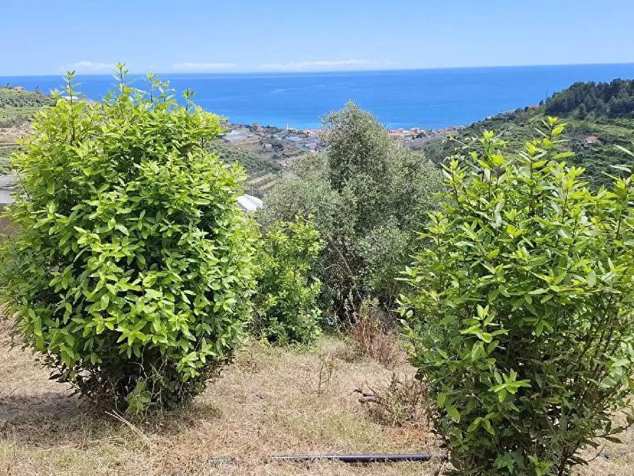 negozio in vendita a Castellaro