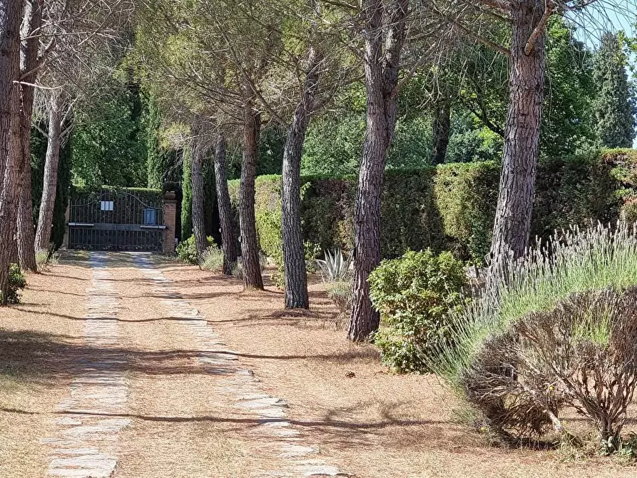 Immagine 10 di Rustico / casale in vendita  in STRADA statale  di  petriolo e castelmuzio a Pienza