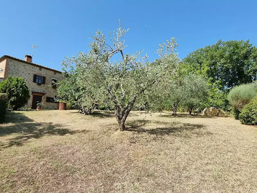 Immagine 13 di Rustico / casale in vendita  in STRADA statale  di  petriolo e castelmuzio a Pienza