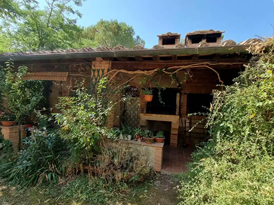 Immagine 17 di Rustico / casale in vendita  in STRADA statale  di  petriolo e castelmuzio a Pienza