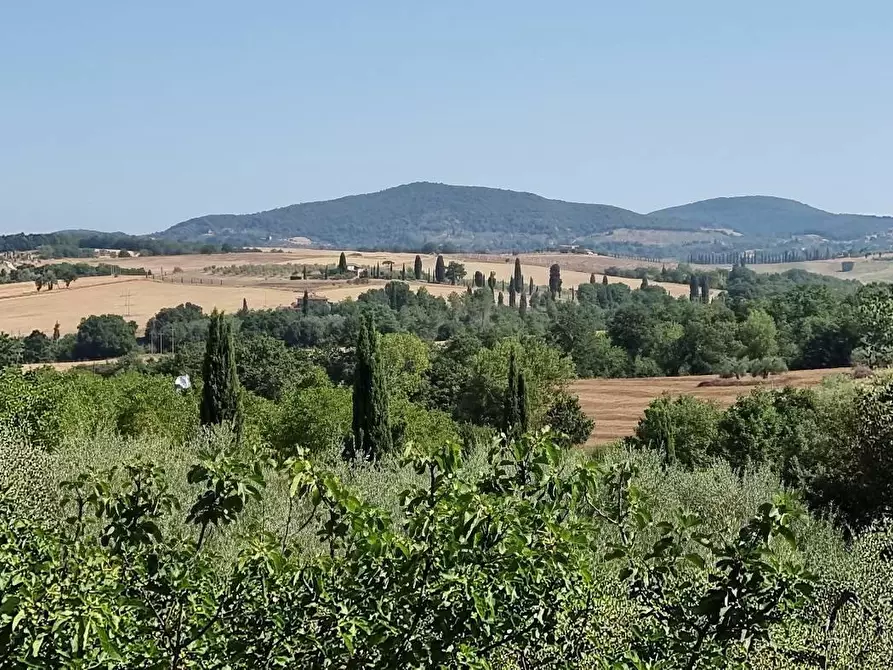 Immagine 18 di Rustico / casale in vendita  in STRADA statale  di  petriolo e castelmuzio a Pienza
