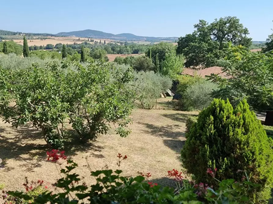 Immagine 19 di Rustico / casale in vendita  in STRADA statale  di  petriolo e castelmuzio a Pienza