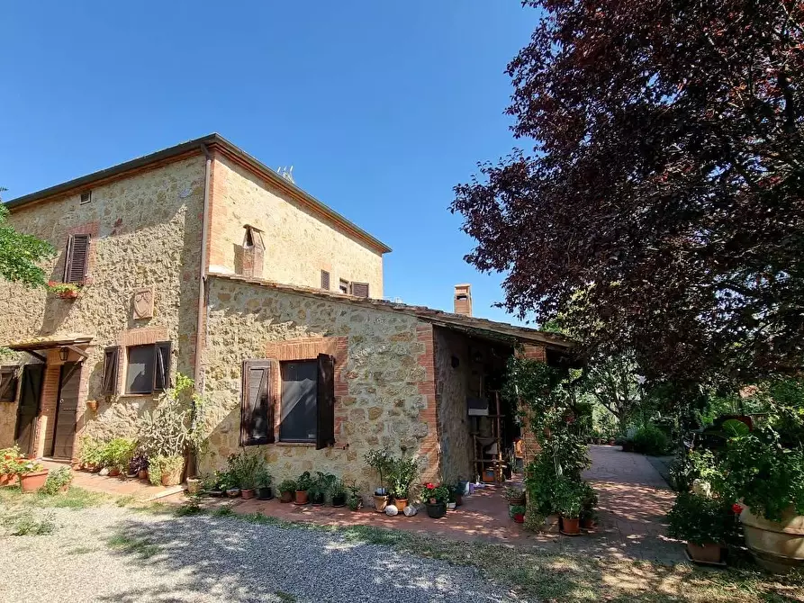 Immagine 2 di Rustico / casale in vendita  in STRADA statale  di  petriolo e castelmuzio a Pienza